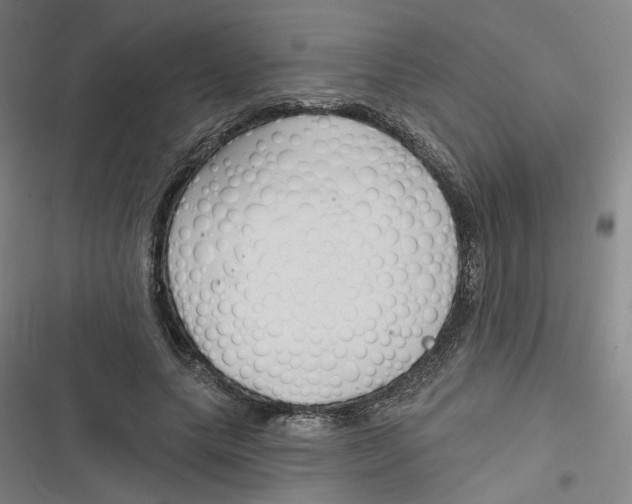 X0000116670639201001111311