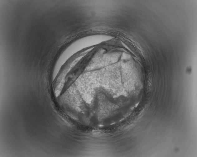 X0000116670641201001111312