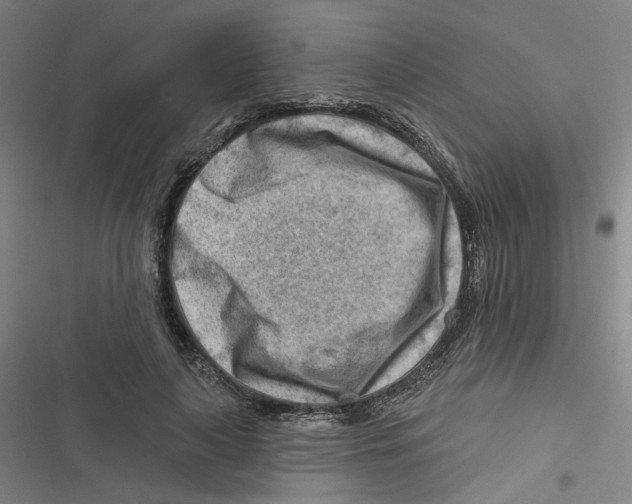 X0000116670643201001111312