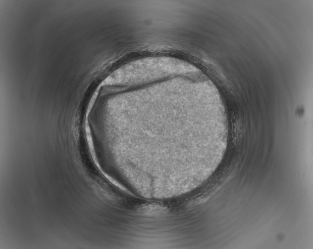 X0000116670644201001111312