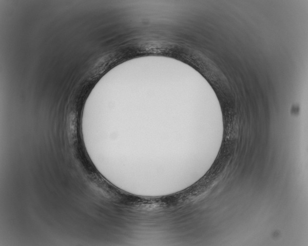 X0000116670646201001111312