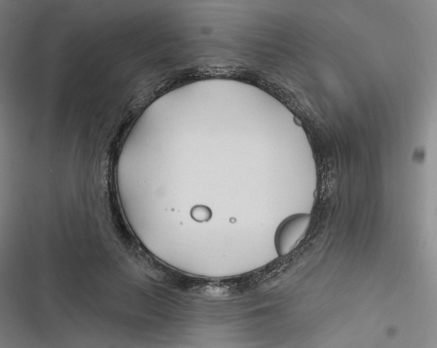 X0000116670647201001111312