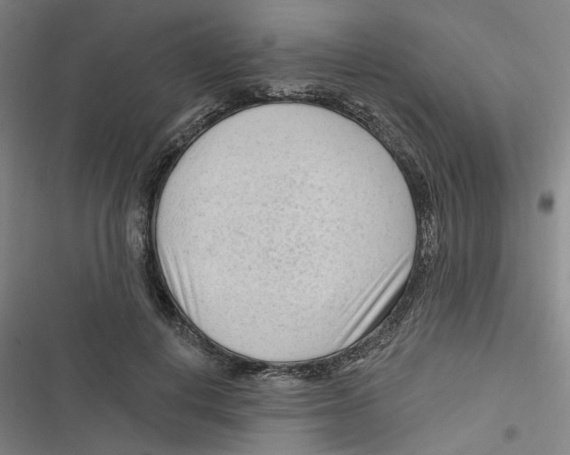 X0000116670648201001111312