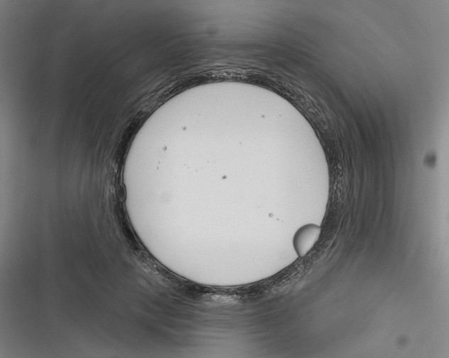 X0000116670649201001111312