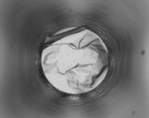 X0000116670651201001111312