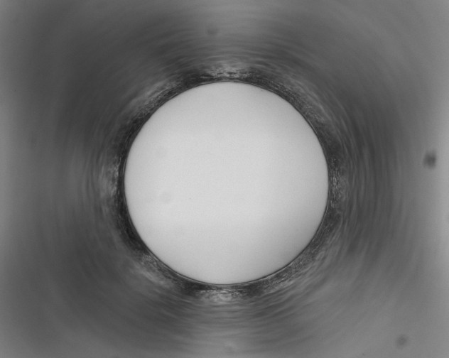 X0000116670652201001111312