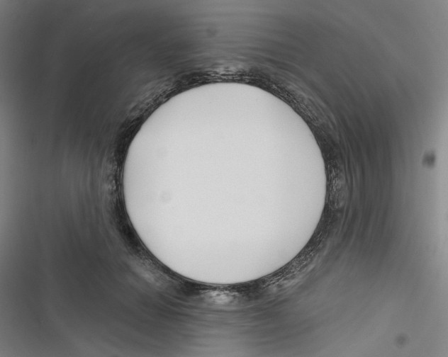 X0000116670654201001111312