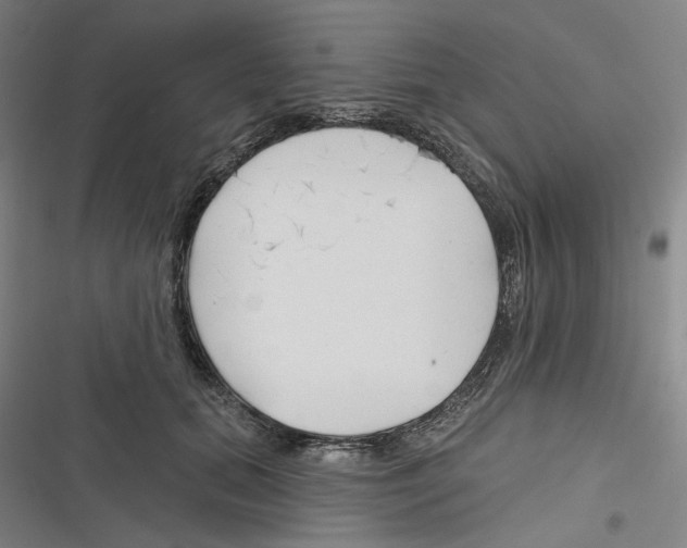 X0000116670655201001111312