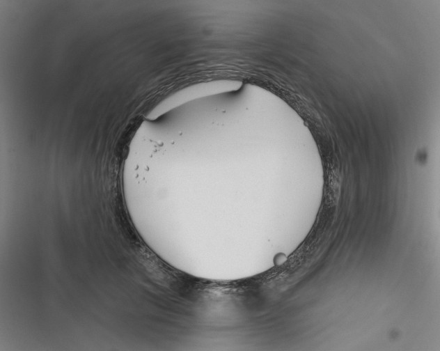 X0000116670657201001111312