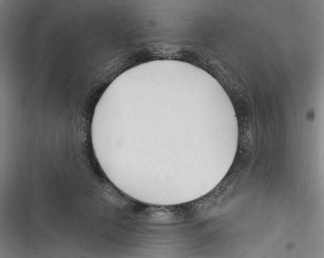 X0000116670658201001111312