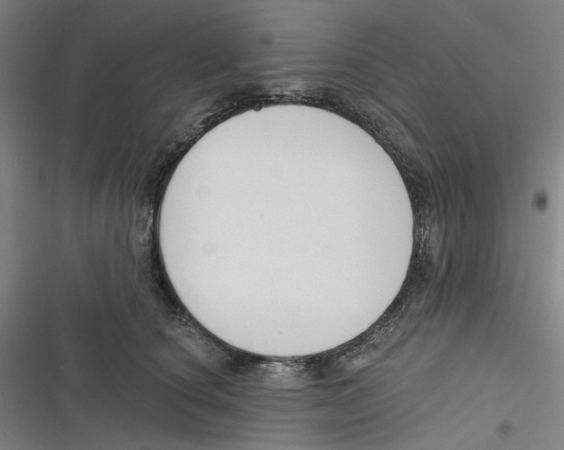 X0000116670660201001111312