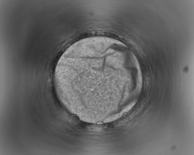 X0000116670661201001111312