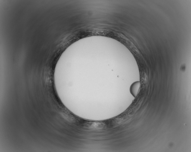 X0000116670663201001111312