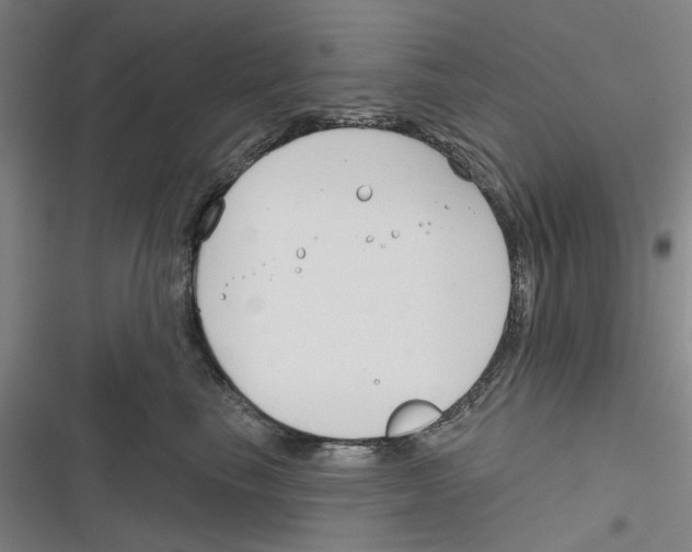 X0000116670665201001111312