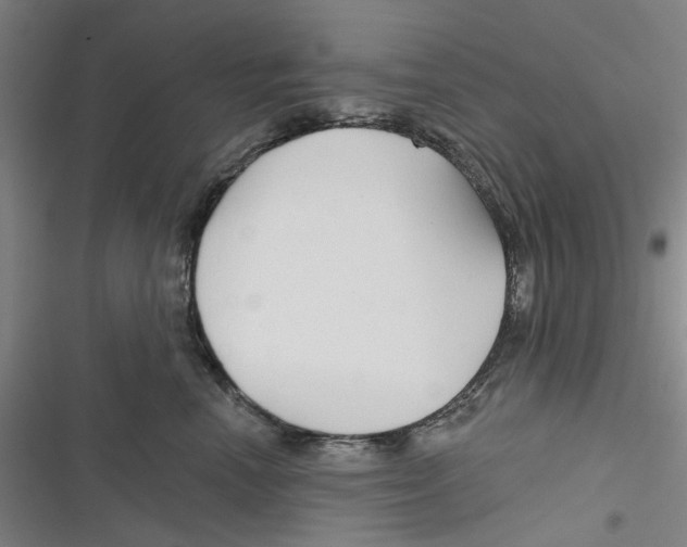 X0000116670666201001111312