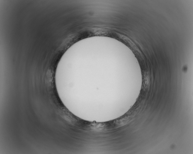 X0000116670667201001111312