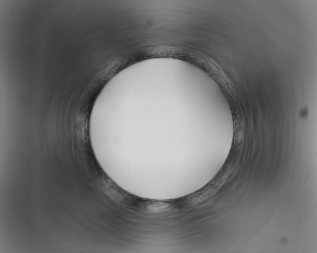 X0000116670669201001111312