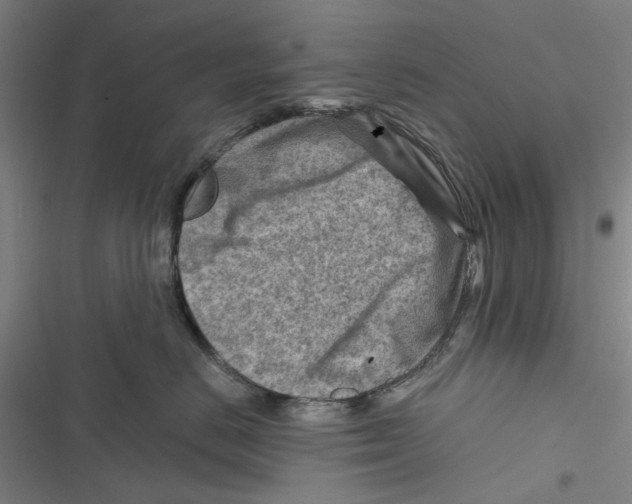 X0000116670670201001111312