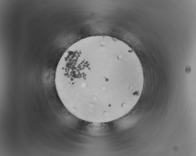 X0000116670672201001111312