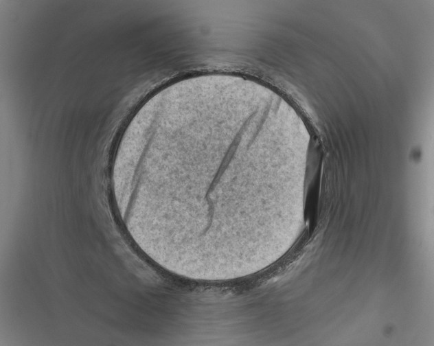 X0000116670673201001111311