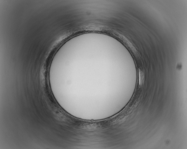 X0000116670675201001111311