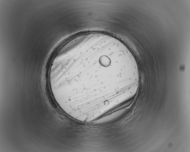 X0000116670676201001111311