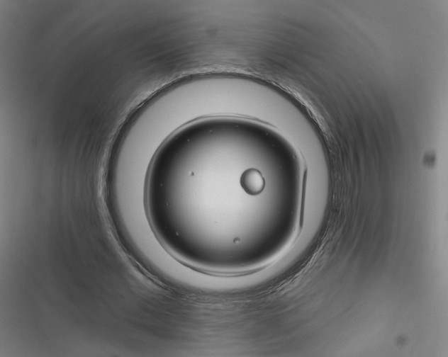 X0000116670677201001111311