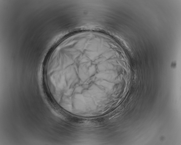 X0000116670678201001111311