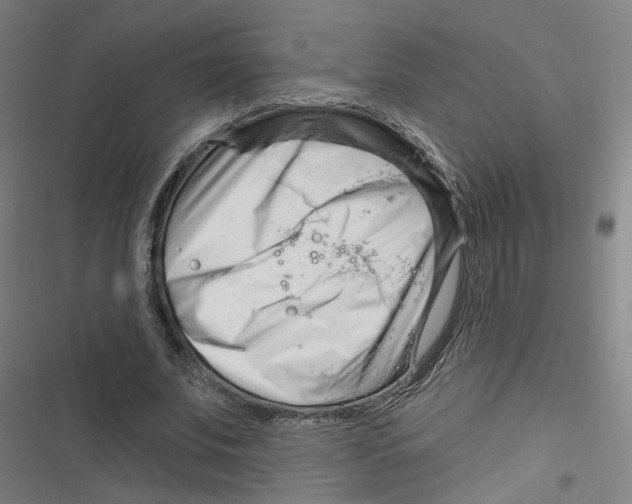 X0000116670679201001111311