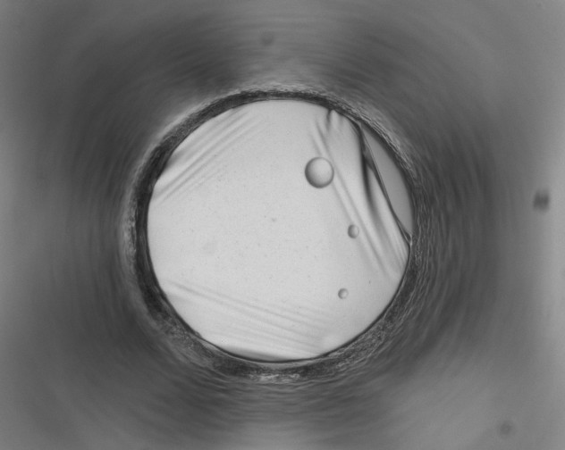 X0000116670680201001111311