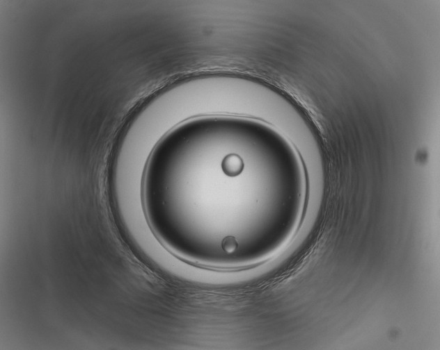 X0000116670681201001111311