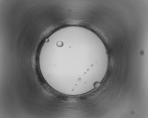 X0000116670682201001111311