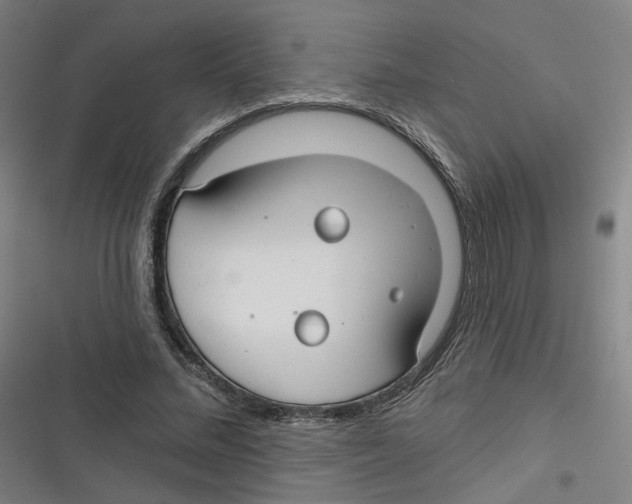 X0000116670684201001111311