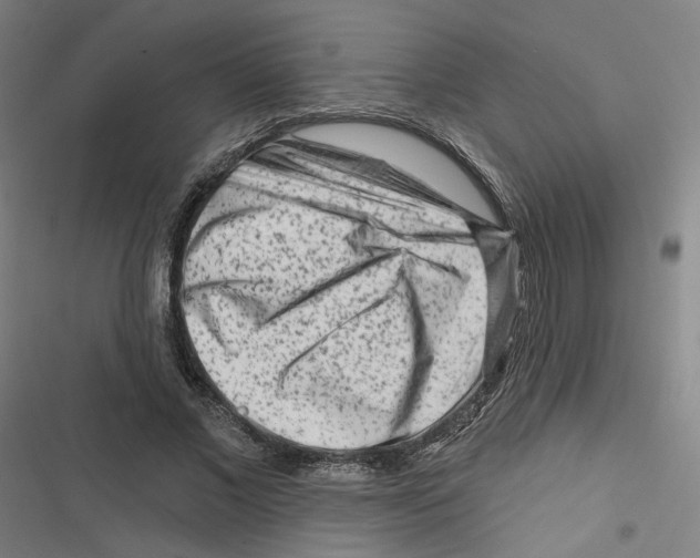 X0000116670685201001111311