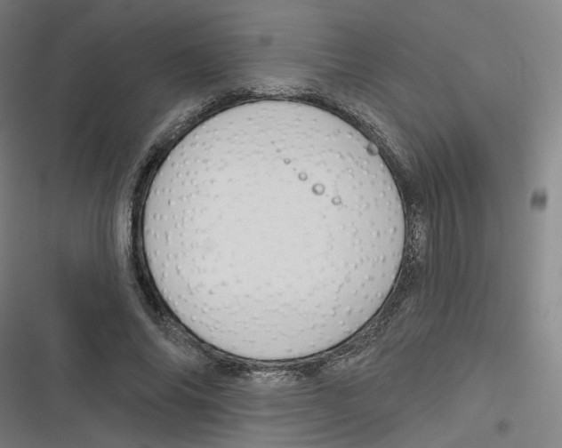 X0000116670686201001111311