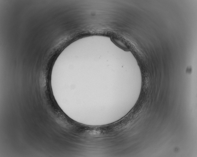 X0000116670687201001111311