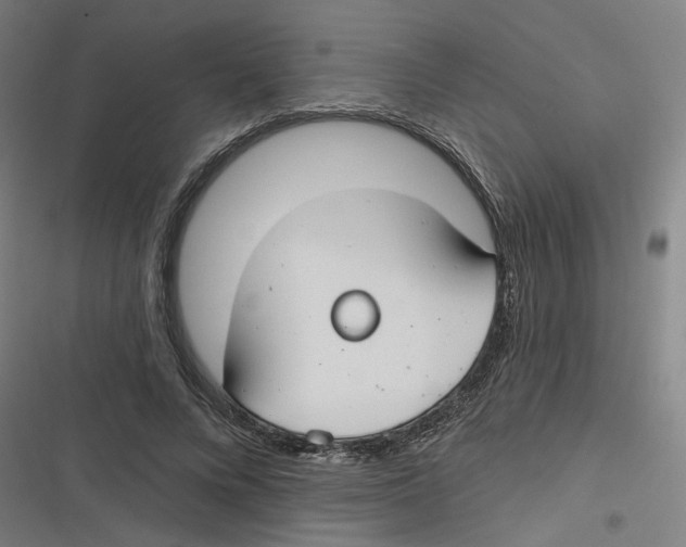 X0000116670688201001111311