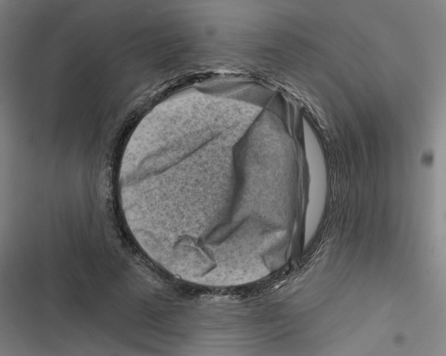 X0000116670689201001111311