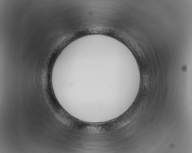 X0000116670690201001111311