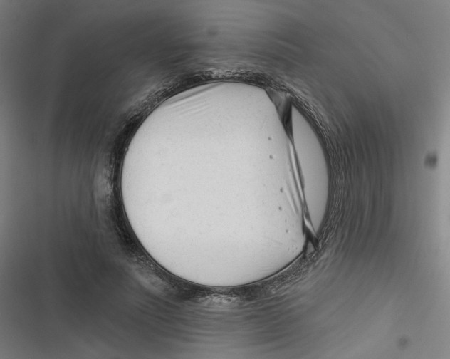 X0000116670691201001111311