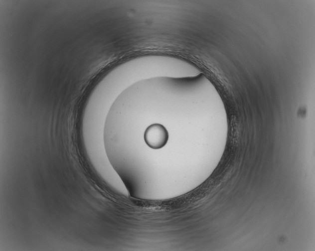 X0000116670692201001111311