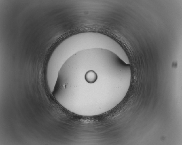 X0000116670693201001111311