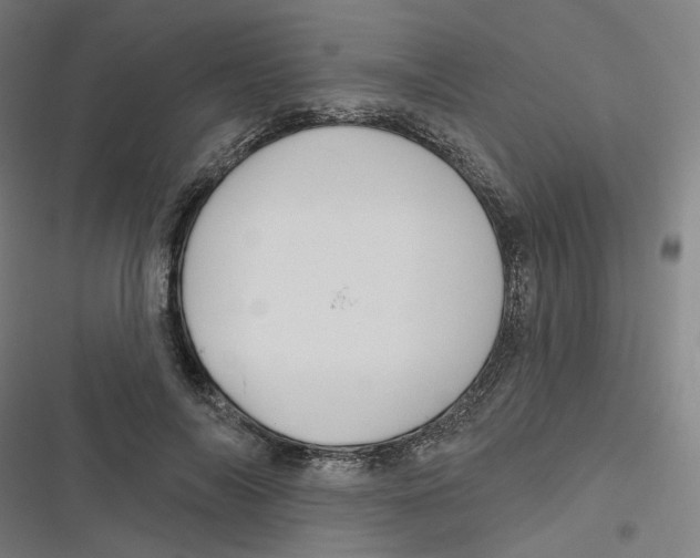 X0000116670694201001111311