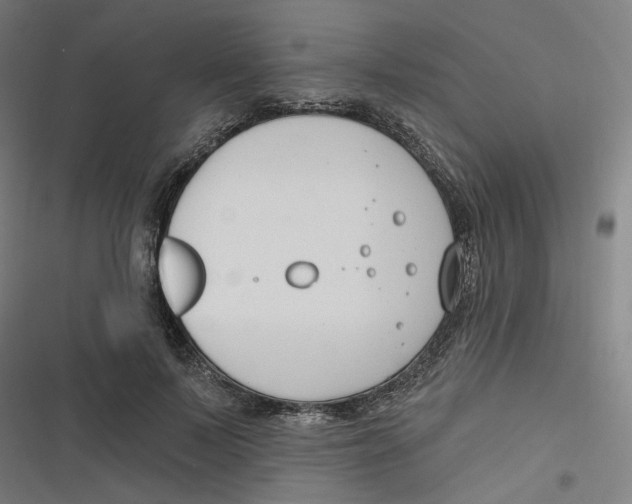 X0000116670695201001111311