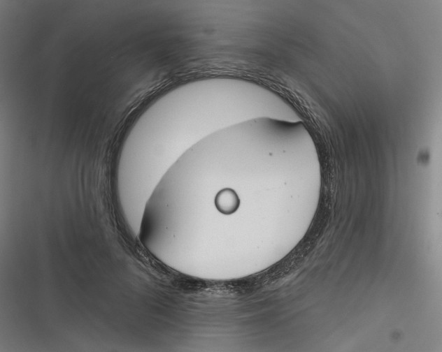 X0000116670696201001111311