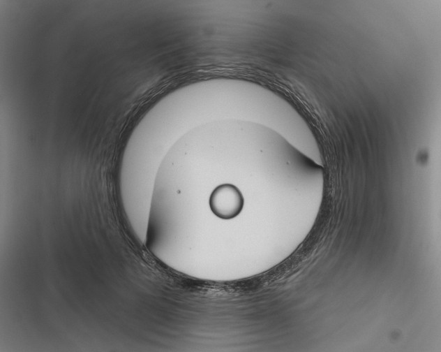 X0000116670697201001111311