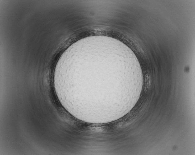 X0000116670698201001111311