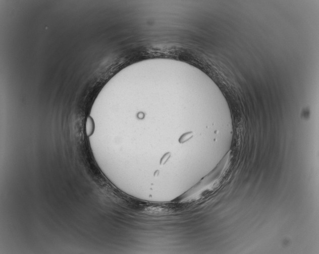 X0000116670699201001111311