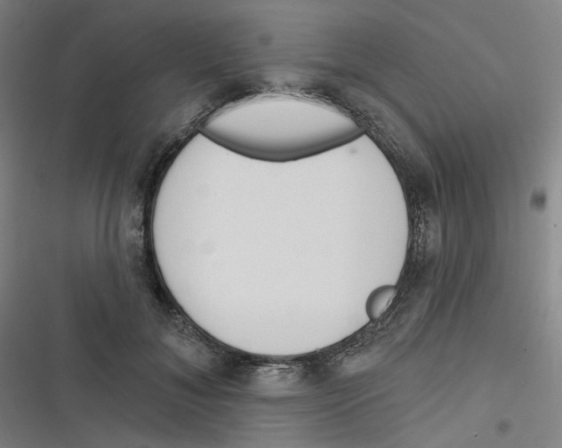 X0000116670700201001111311