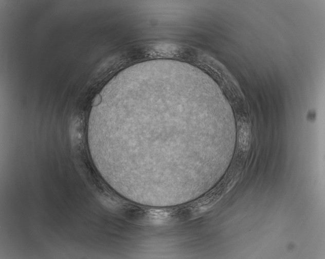 X0000116670701201001111311